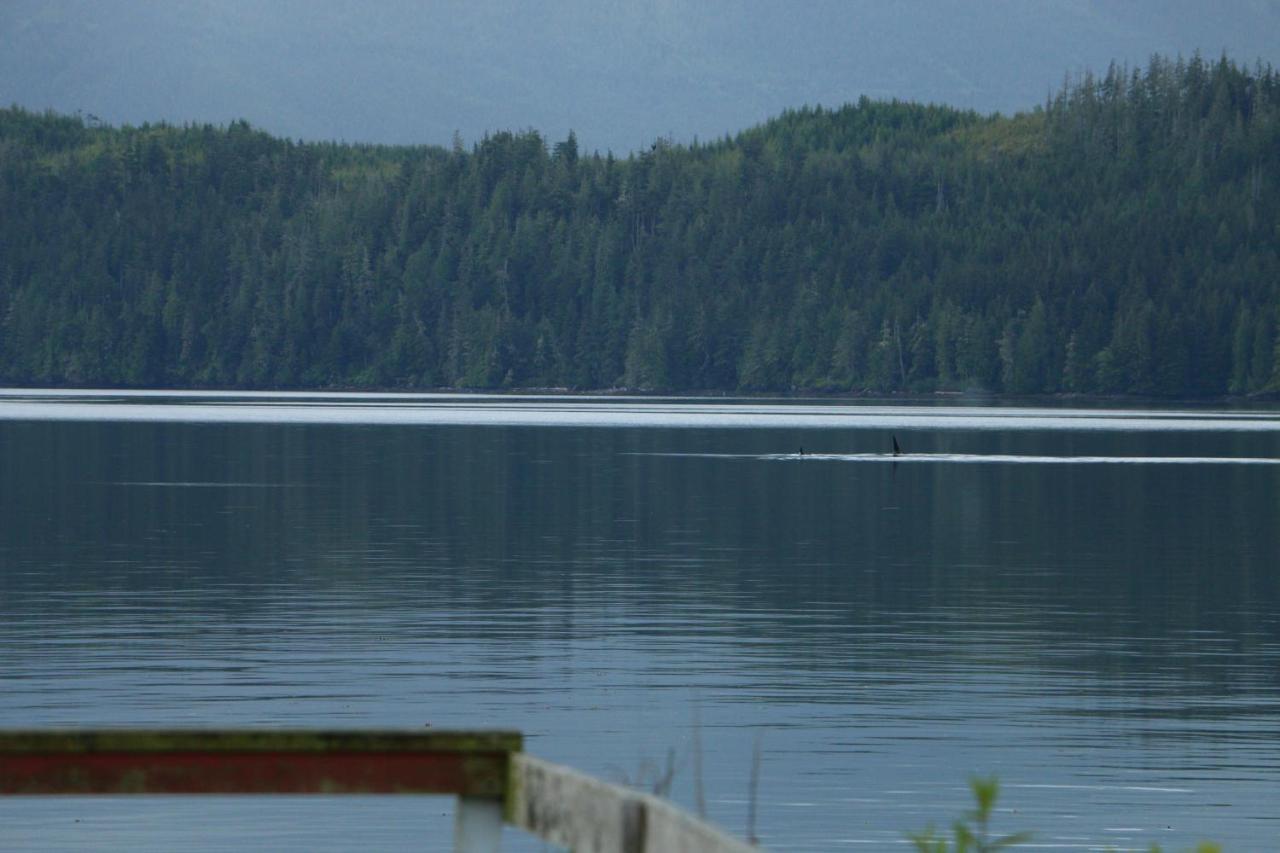 Nimpkish Hotel Alert Bay Exterior foto